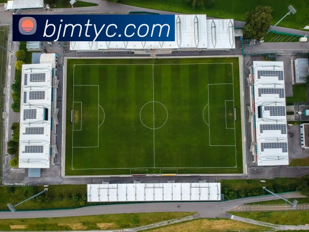 太阳城网站发展历程