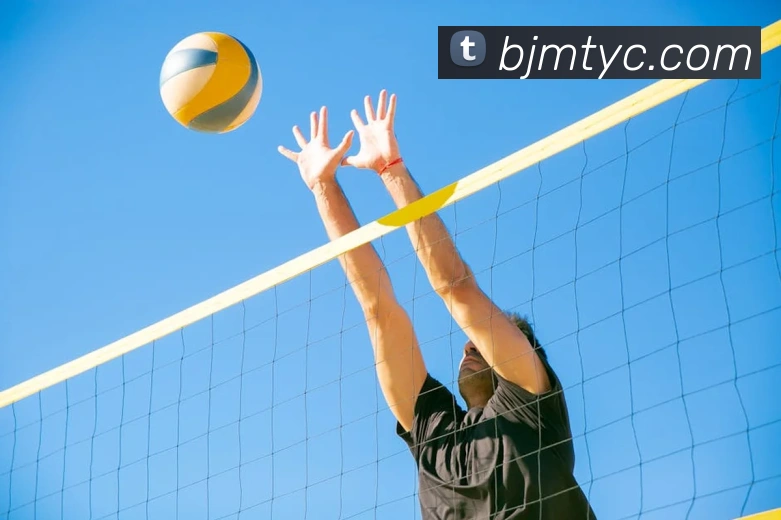 太阳城网站服务体系